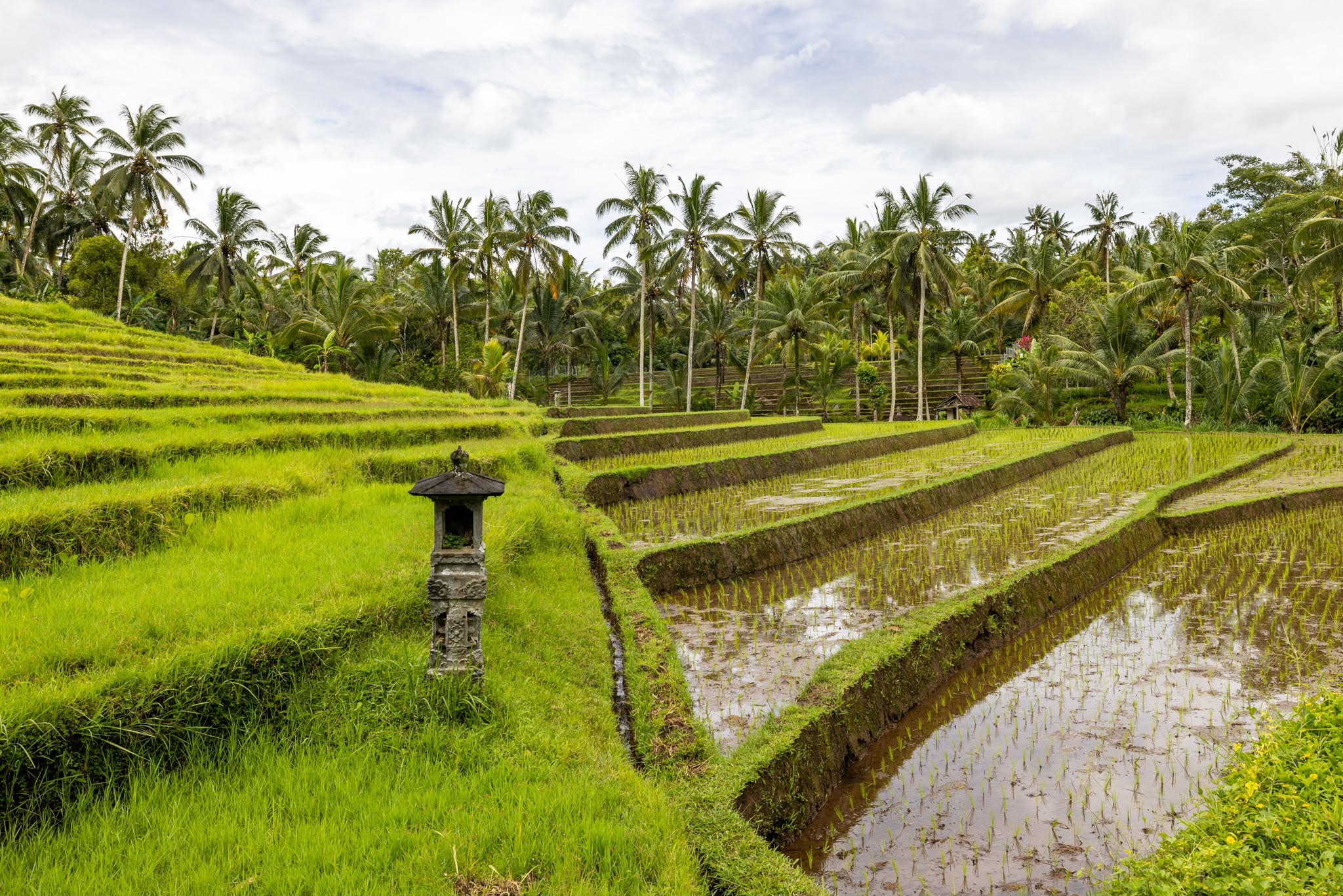 Ubud, Bali, Indonesia