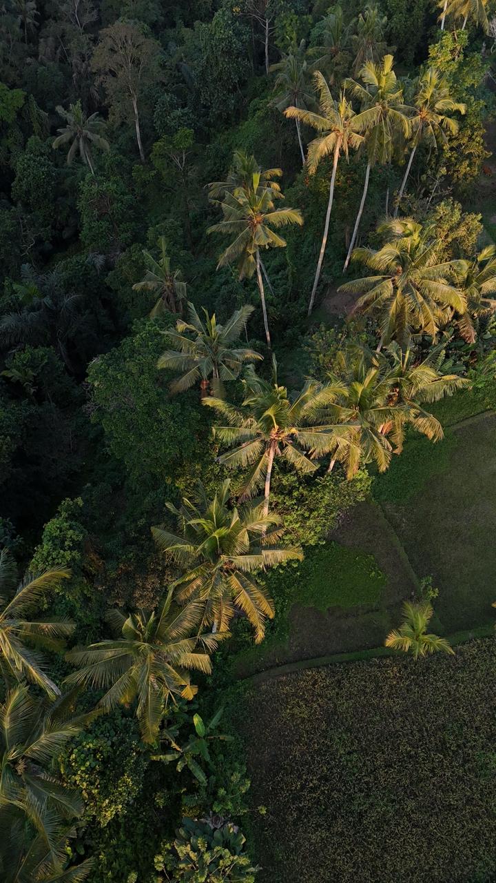 Indonesia